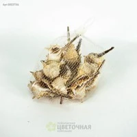 Ракушка - декор. Р030в набор ассорт., Китай